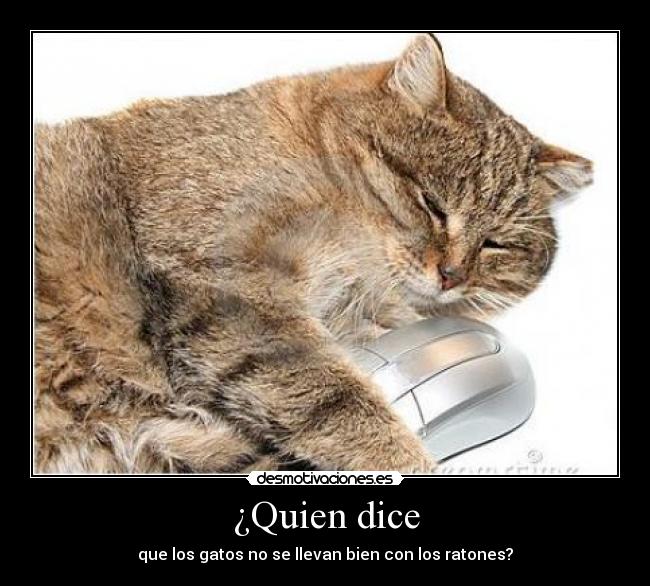 ¿Quien dice - que los gatos no se llevan bien con los ratones?