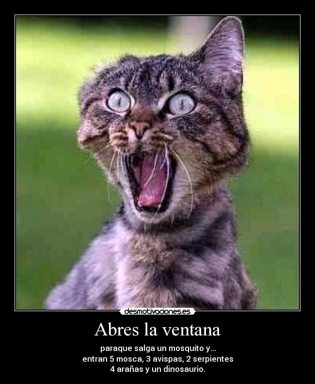 Abres la ventana - paraque salga un mosquito y...
entran 5 mosca, 3 avispas, 2 serpientes
4 arañas y un dinosaurio.