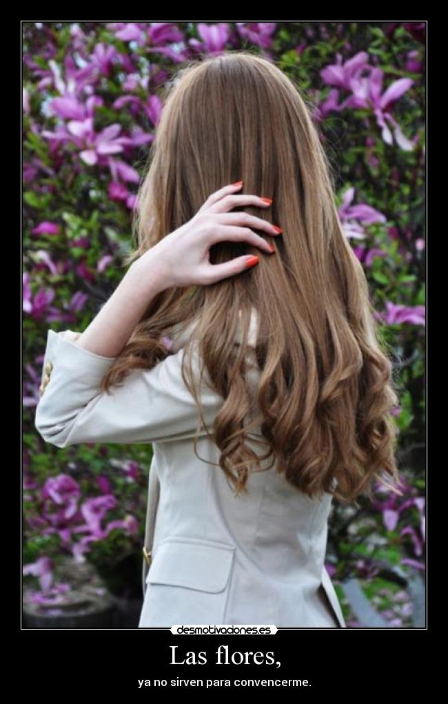Las flores, - ya no sirven para convencerme.