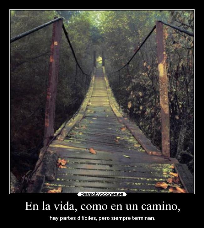 En la vida, como en un camino, -