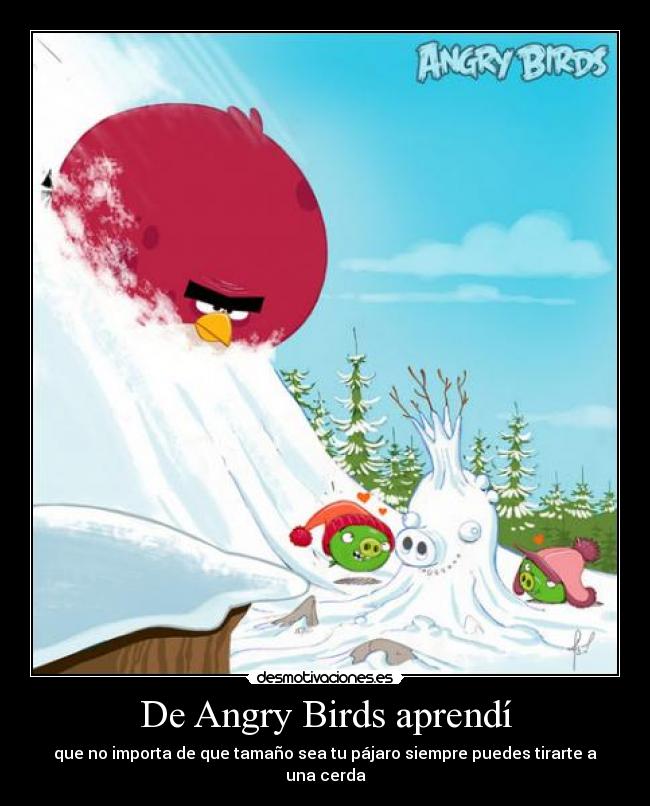 De Angry Birds aprendí - que no importa de que tamaño sea tu pájaro siempre puedes tirarte a una cerda