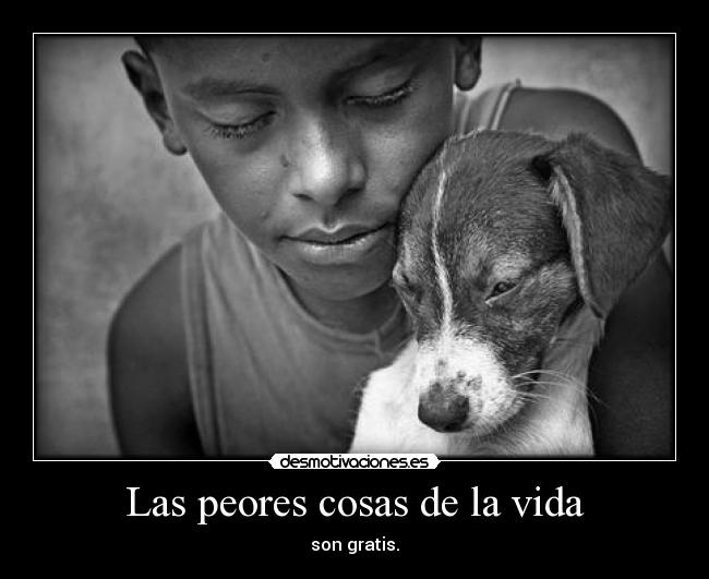 Las peores cosas de la vida | Desmotivaciones