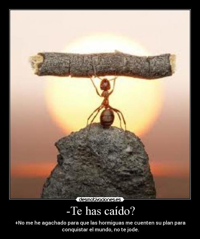 -Te has caído? - +No me he agachado para que las hormiguas me cuenten su plan para
conquistar el mundo, no te jode.