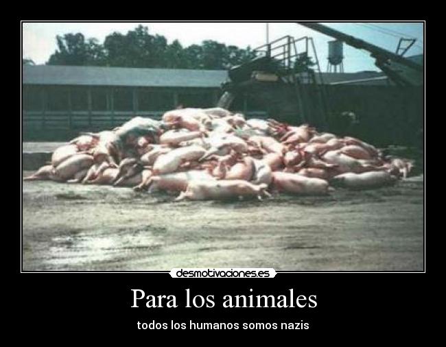 carteles animales pauinskin desmotivaciones