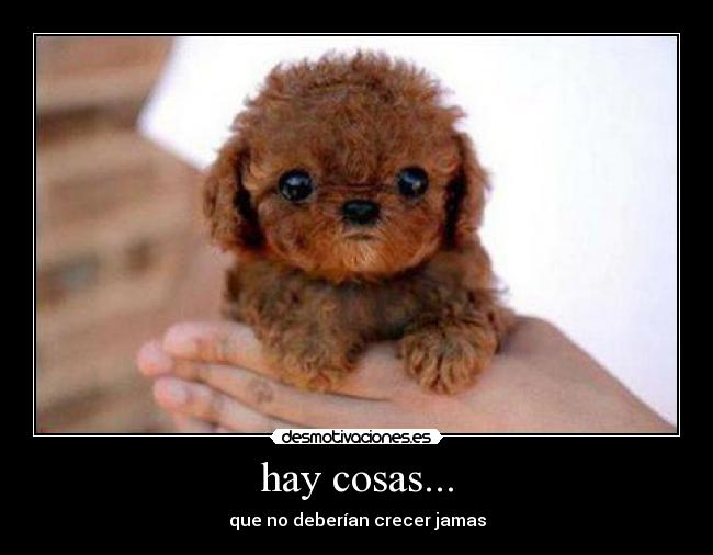 hay cosas... -