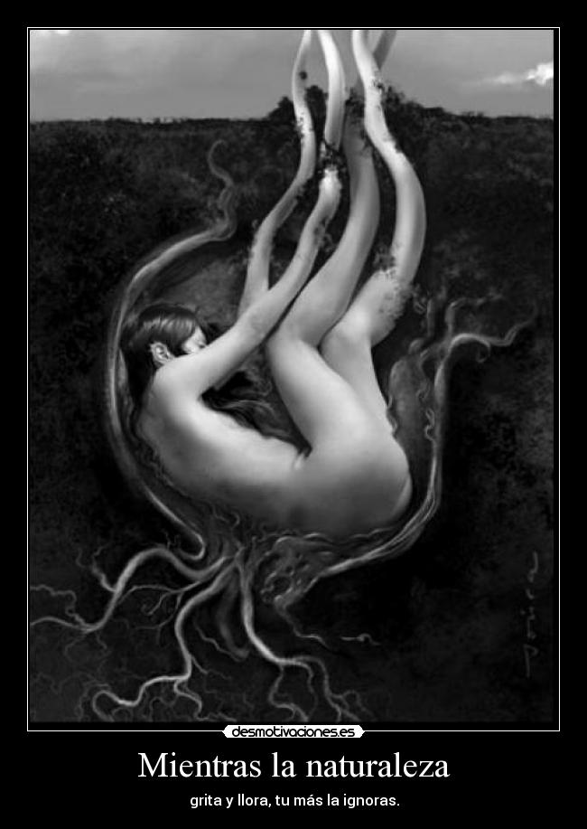 Mientras la naturaleza - 