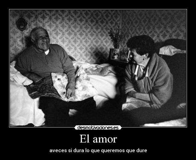 carteles amor luluulpz desmotivaciones