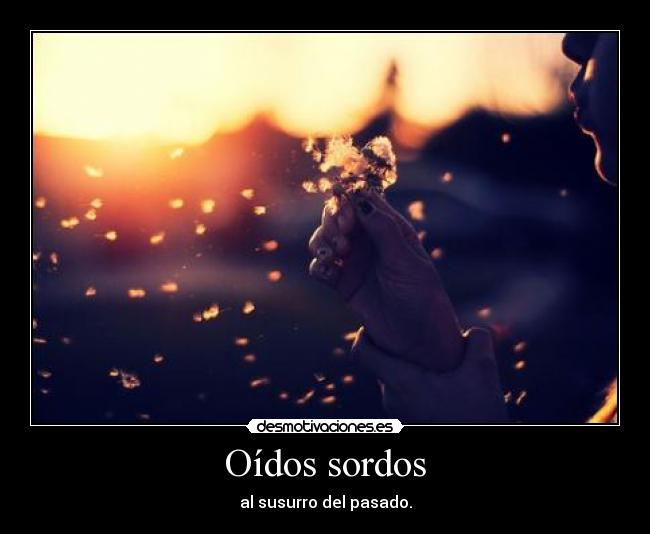 carteles dorito23 desmotivaciones