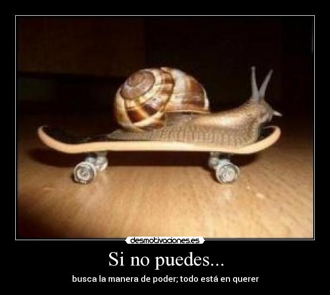 Si no puedes... -