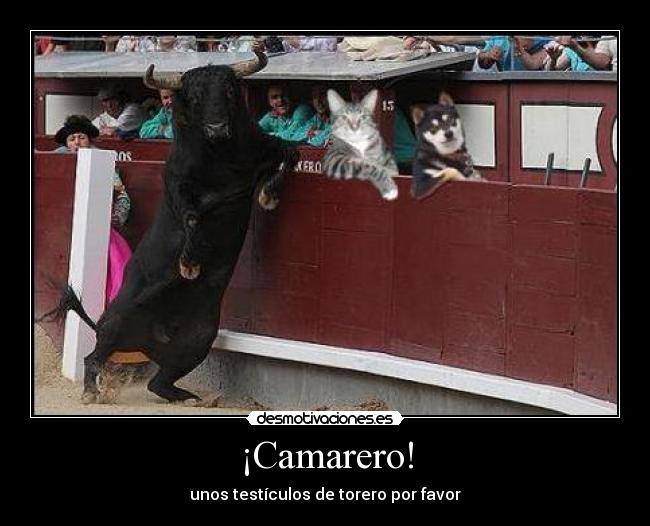 ¡Camarero! -