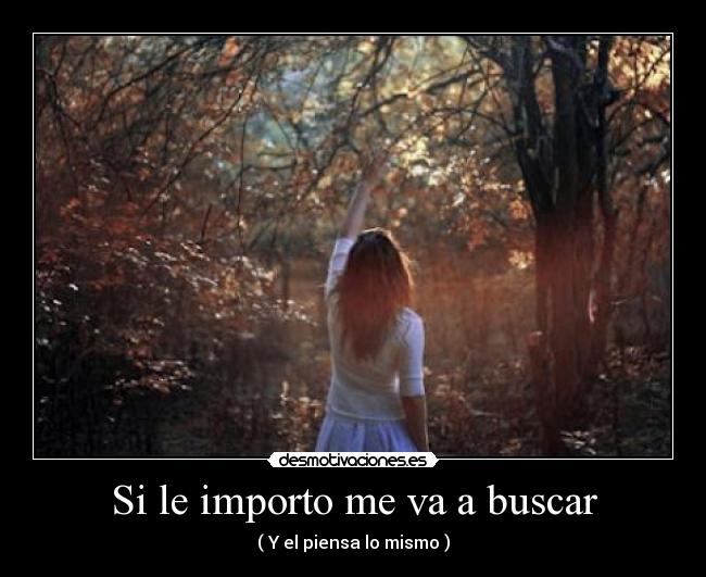 Si le importo me va a buscar - 