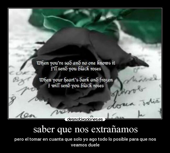 saber que nos extrañamos - pero el tomar en cuanta que solo yo ago todo lo posible para que nos veamos duele