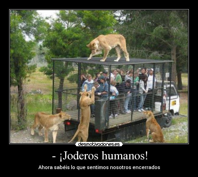 - ¡Joderos humanos! - Ahora sabéis lo que sentimos nosotros encerrados