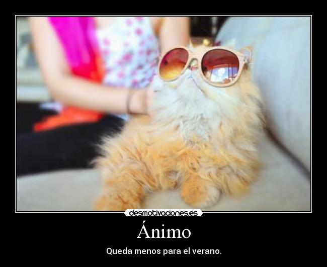 Ánimo - Queda menos para el verano.