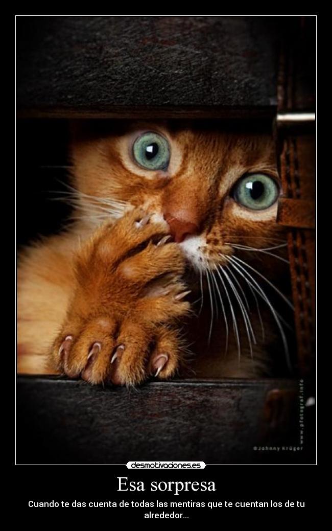 Esa sorpresa - Cuando te das cuenta de todas las mentiras que te cuentan los de tu alrededor...
