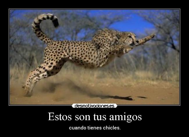 Estos son tus amigos -