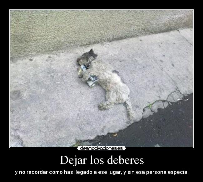 Dejar los deberes - y no recordar como has llegado a ese lugar, y sin esa persona especial