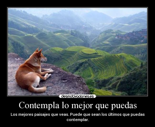 carteles exprimido coco imagen sacada cuenta imgur ugn2010 aintheu desmotivaciones