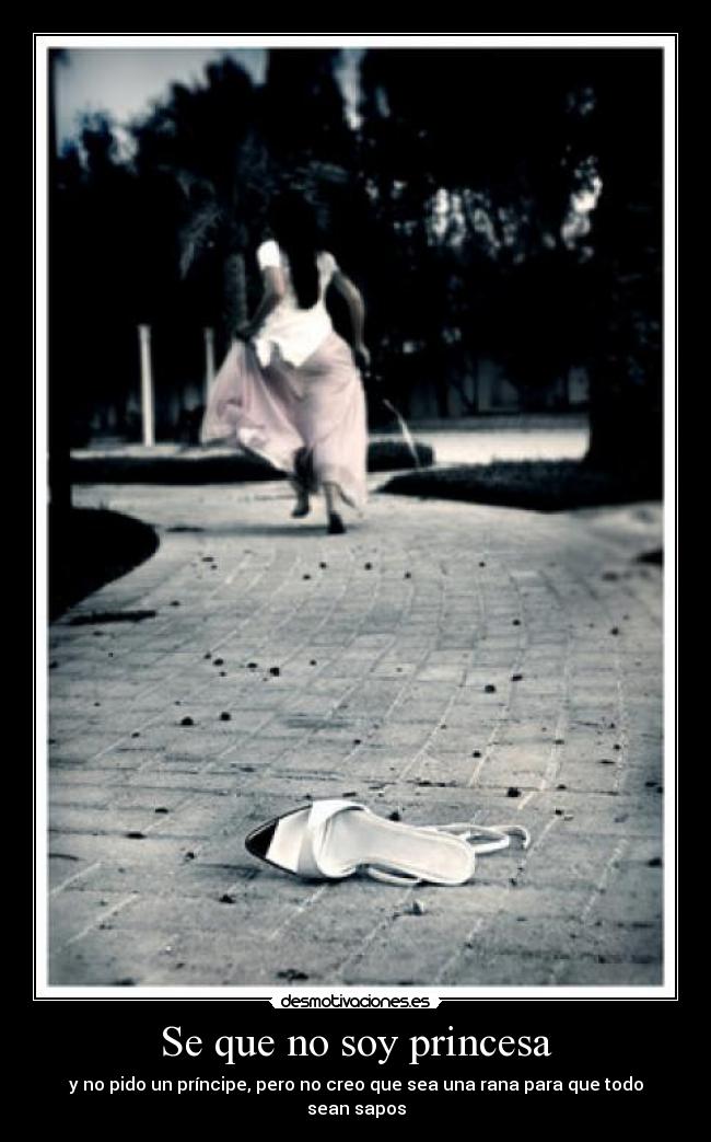 carteles soy una cenicienta desmotivaciones