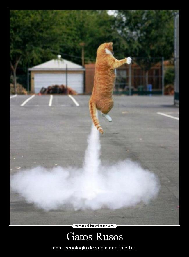 Gatos Rusos - con tecnología de vuelo encubierta...