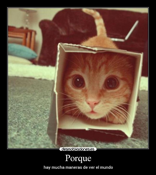 Porque - 