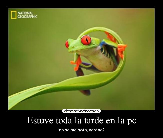 Estuve toda la tarde en la pc - 