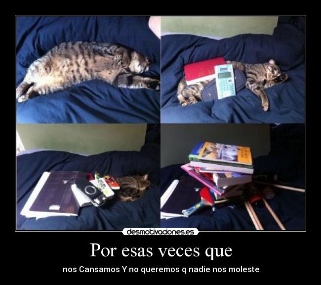 Por esas veces que - nos Cansamos Y no queremos q nadie nos moleste