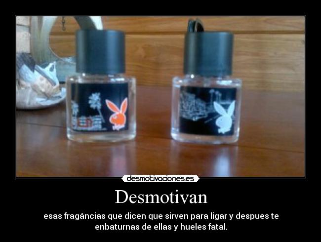 carteles jamie desmotivaciones