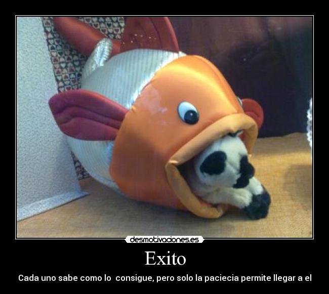 Exito - Cada uno sabe como lo consigue, pero solo la paciecia permite llegar a el