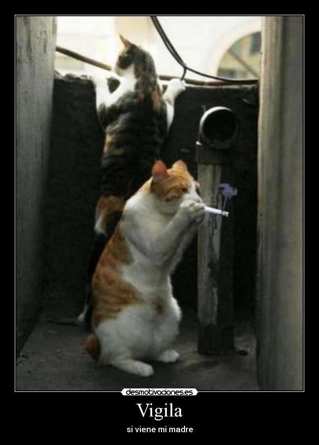 carteles sinllegar inedito sin dedicaciones parkour gushta desmotivaciones