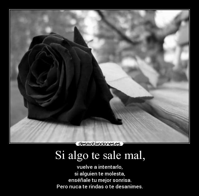 Si algo te sale mal, - 