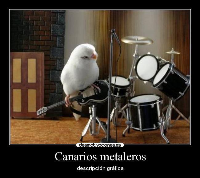 Canarios metaleros -