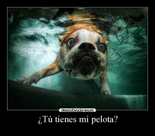 ¿Tú tienes mi pelota? -