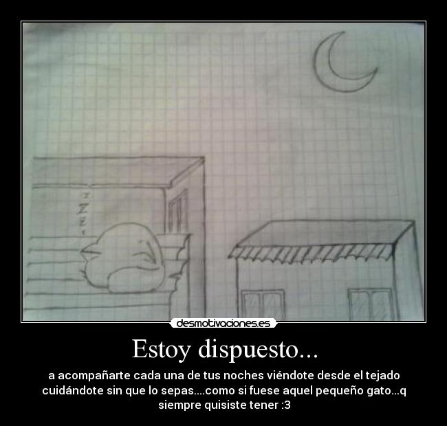 Estoy dispuesto... - a acompañarte cada una de tus noches viéndote desde el tejado
cuidándote sin que lo sepas....como si fuese aquel pequeño gato...q
siempre quisiste tener :3
