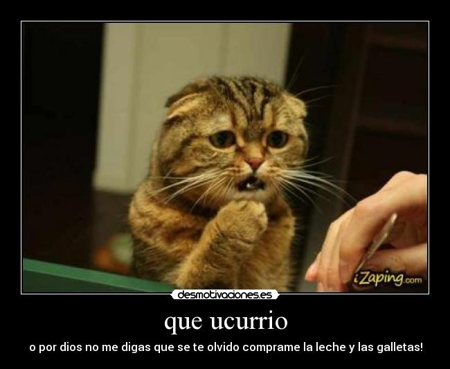 carteles jajajajja desmotivaciones