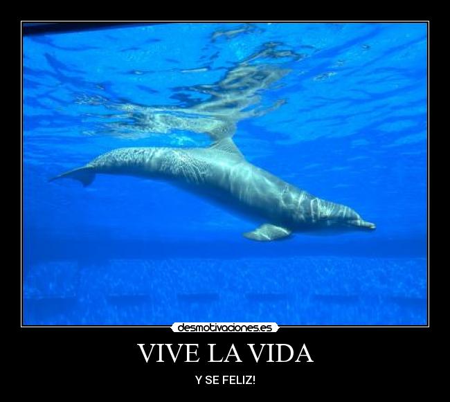 VIVE LA VIDA - Y SE FELIZ!