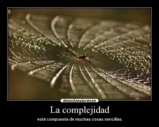 La complejidad - 