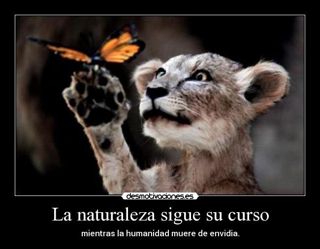 La naturaleza sigue su curso - 