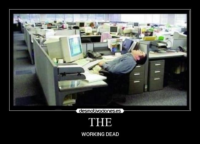 THE - WORKING DEAD