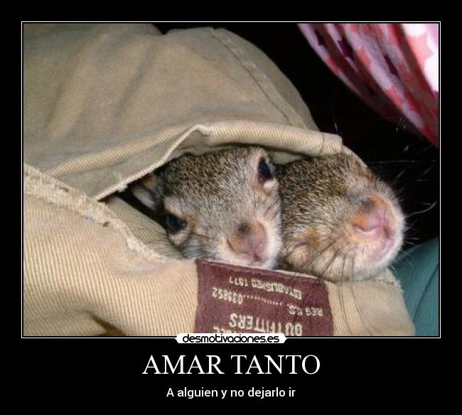 AMAR TANTO - A alguien y no dejarlo ir