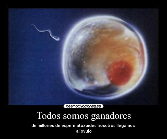 Todos somos ganadores -