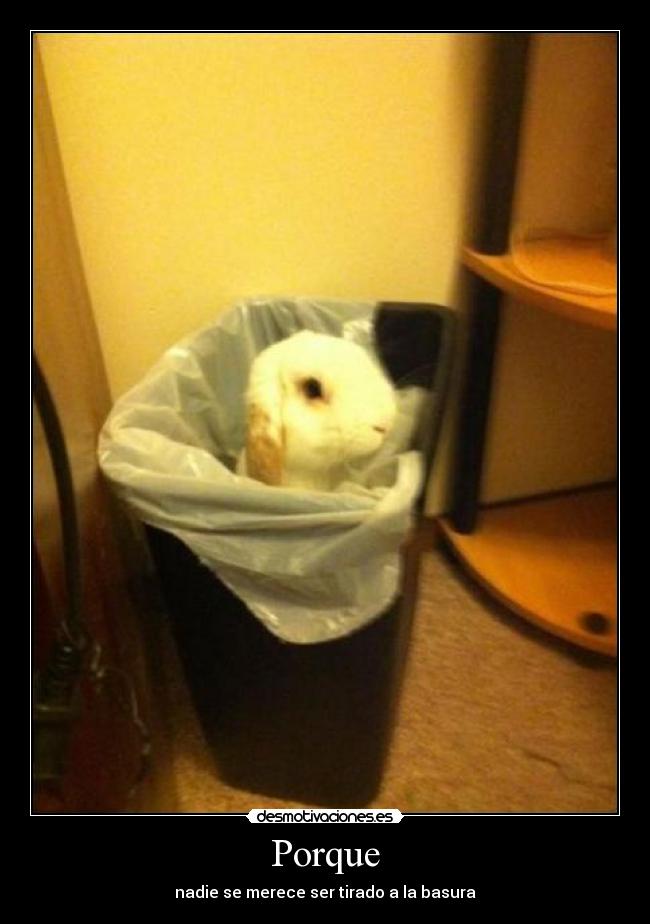 Porque - nadie se merece ser tirado a la basura