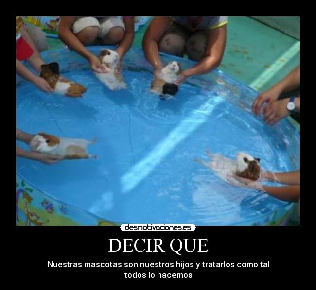 DECIR QUE - Nuestras mascotas son nuestros hijos y tratarlos como tal
todos lo hacemos