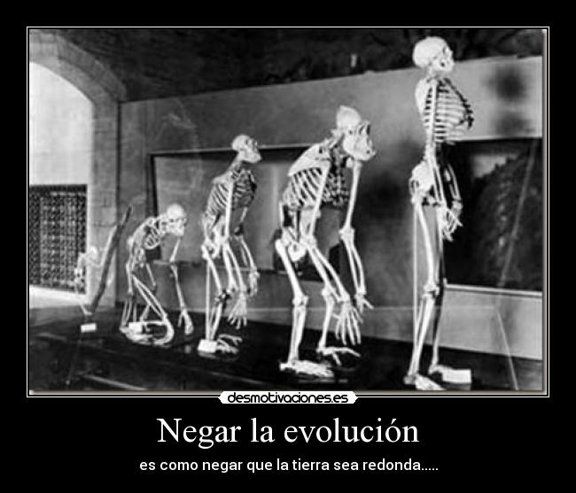 Negar la evolución - es como negar que la tierra sea redonda.....