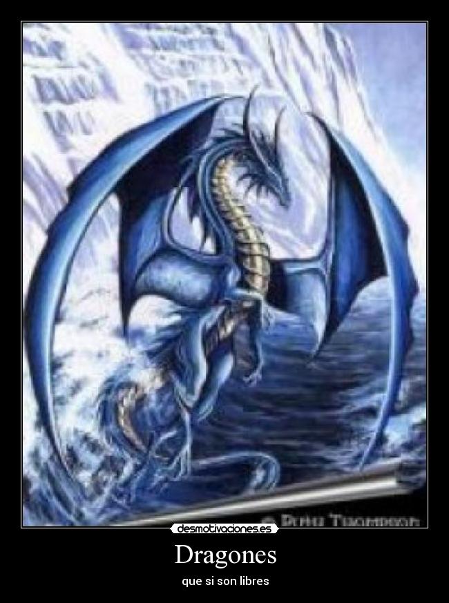 carteles  desmotivaciones