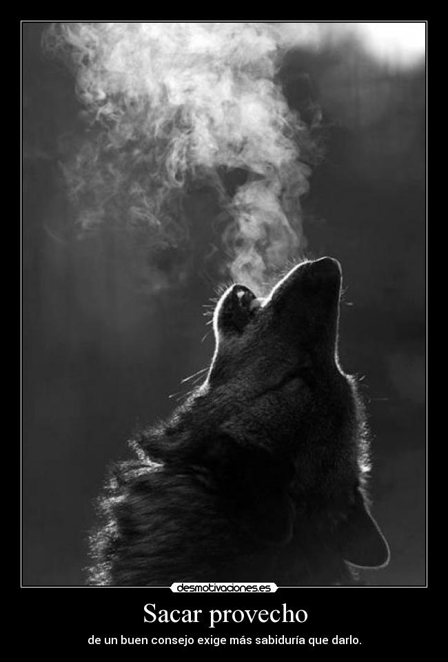 carteles d17pac desmotivaciones