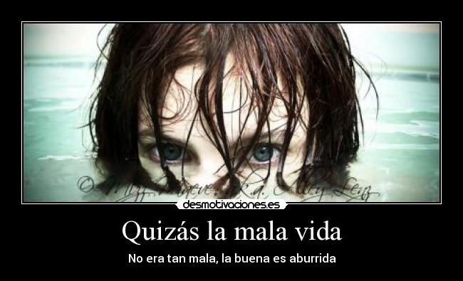 carteles vida nia desmotivaciones