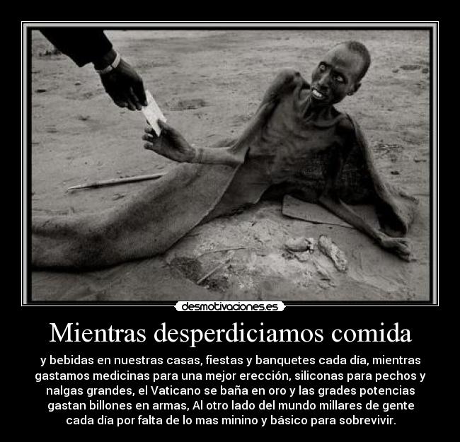 Mientras desperdiciamos comida -