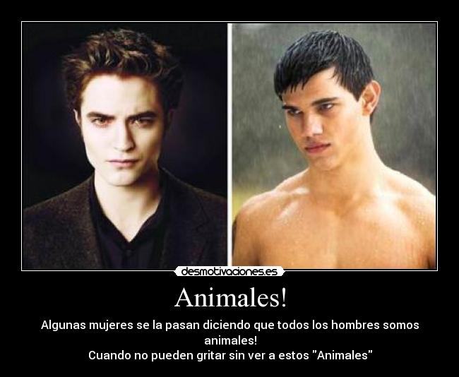 Animales! - Algunas mujeres se la pasan diciendo que todos los hombres somos animales!
Cuando no pueden gritar sin ver a estos Animales
