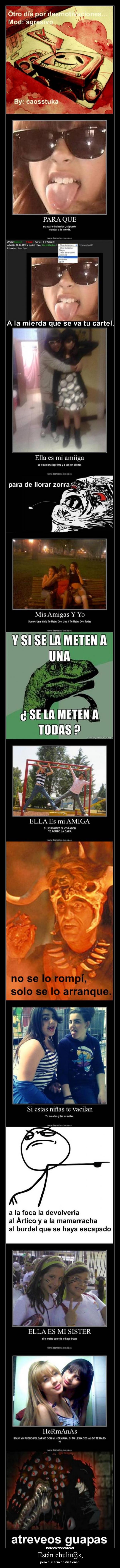Están chulit@s, -